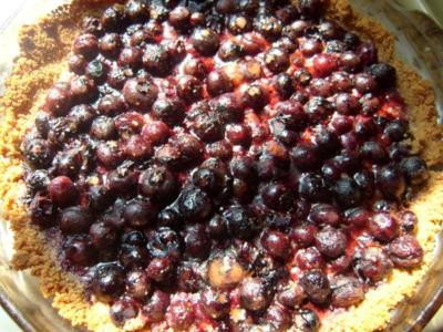 blueberry honey pie