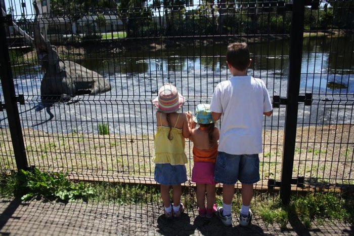 Exploring the La Brea Tar Pits