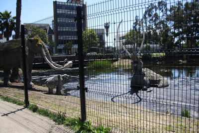 Exploring the La Brea Tar Pits