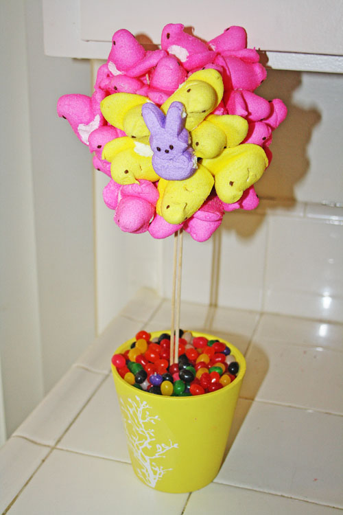 Peep Tree