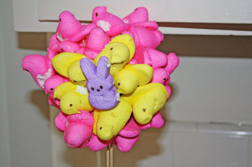 Peep Tree