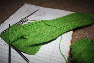 Hedgerow Socks