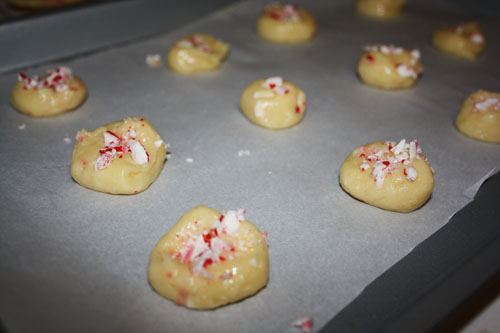 Candy Cane Cookies