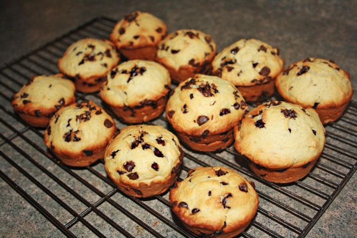 Chocolate Chip Muffins