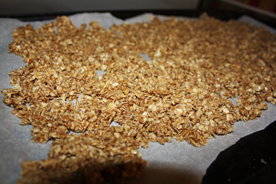 Homemade Granola Bars