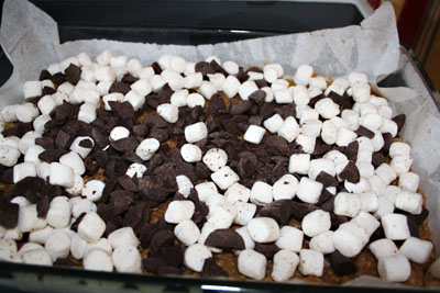 Ooey, Gooey, Chewy S'more Bars