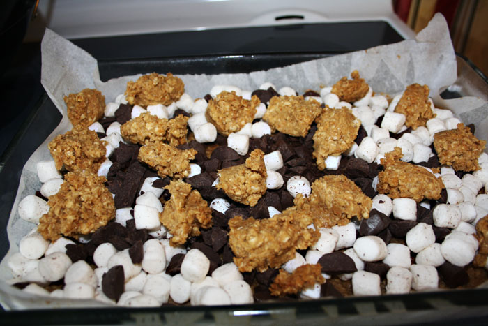 Ooey, Gooey, Chewy S'more Bars