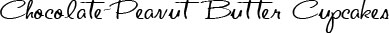 Chocolate Peanut Butter Cupcakes