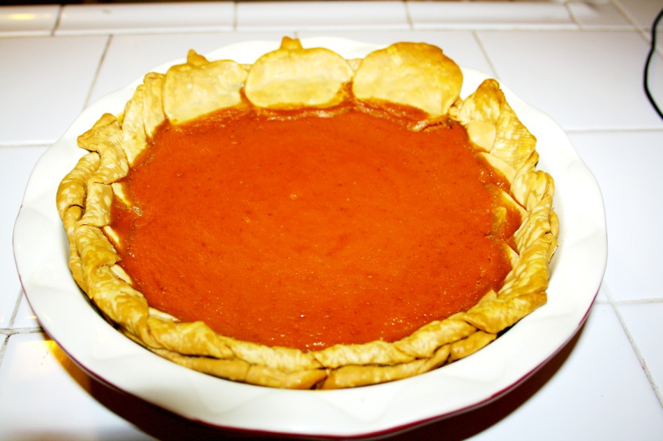 Pumpkin Pie