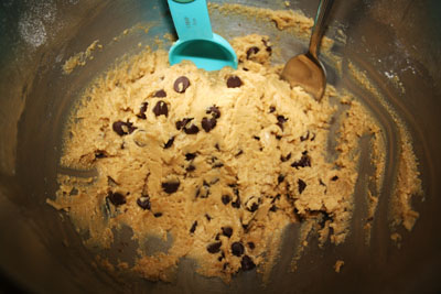 Softest Chocolate Chip Cookies Ever