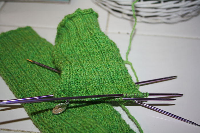 Work in Progress Wednesday #11 - Hedgerow Socks