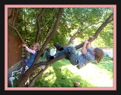 We let the kids climb trees