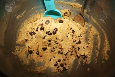 Softest Chocolate Chip Cookies Ever