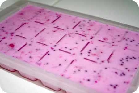 Dragonfruit Ice Cream