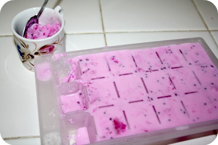 Dragonfruit Ice Cream