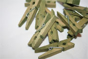 Window Shopping Wednesday - Keeley Behling Studios -Mini Green Clothespins Set of 12
